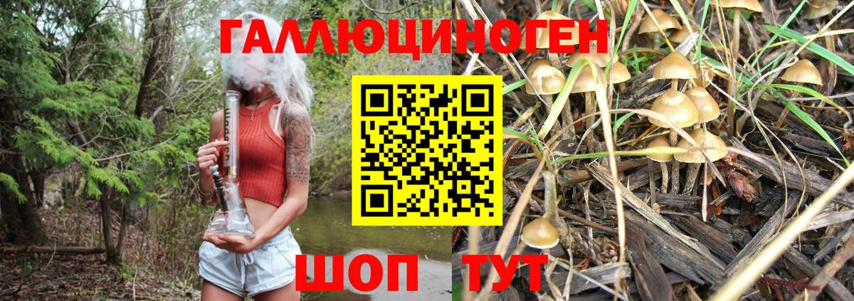 Псилоцибиновые грибы Psilocybine cubensis Волгоград