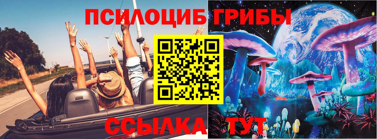 Галлюциногенные грибы Psilocybe  Вход с VPN  Волгоград 